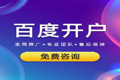 某品牌通过百度广告实现快速增长的案例